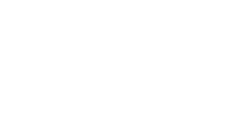 Logo client Candiz
