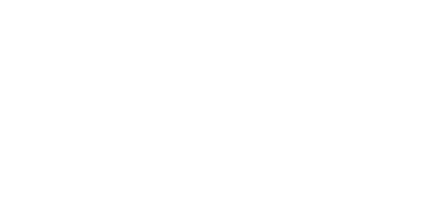 Logo client Perspective